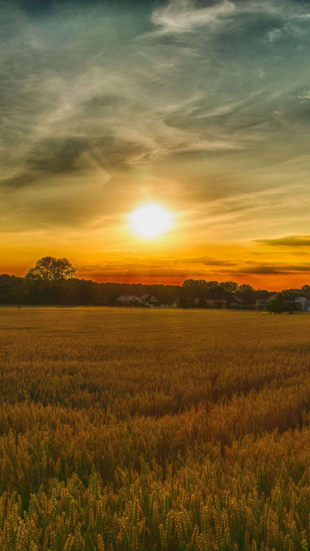 Download the sunset over a field wallpaper for your iPhone X from Everpix - Farm