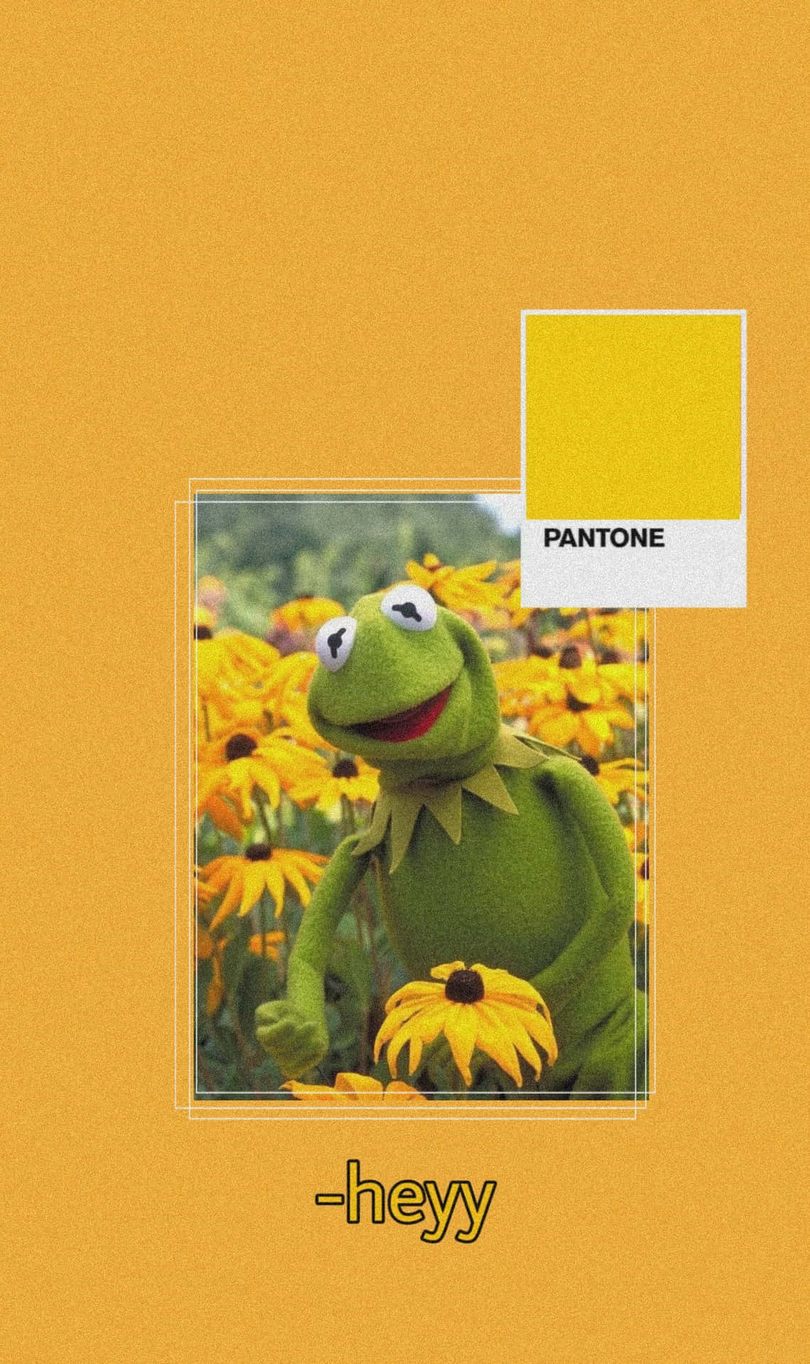 Download Aesthetic Kermit Wallpaper