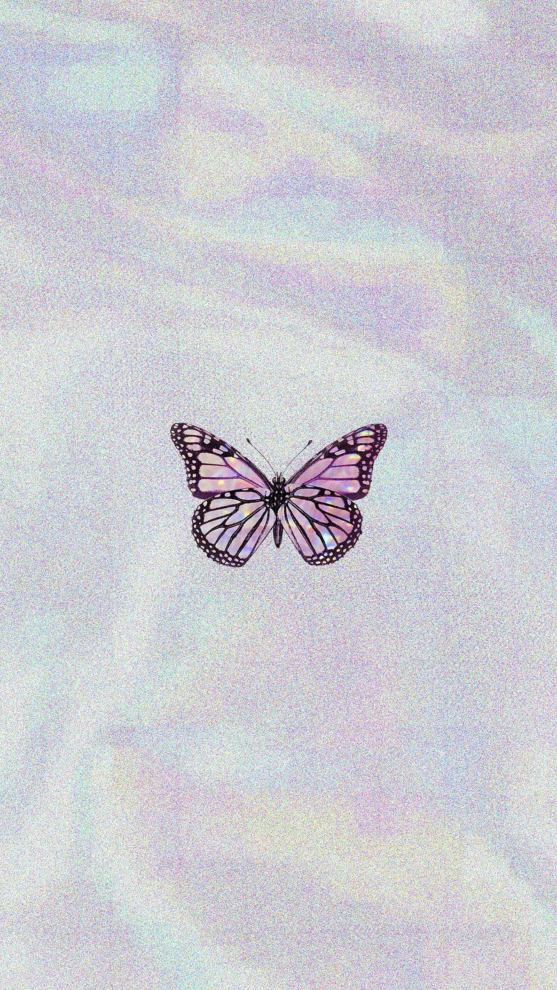 Pink holographic butterfly on a black