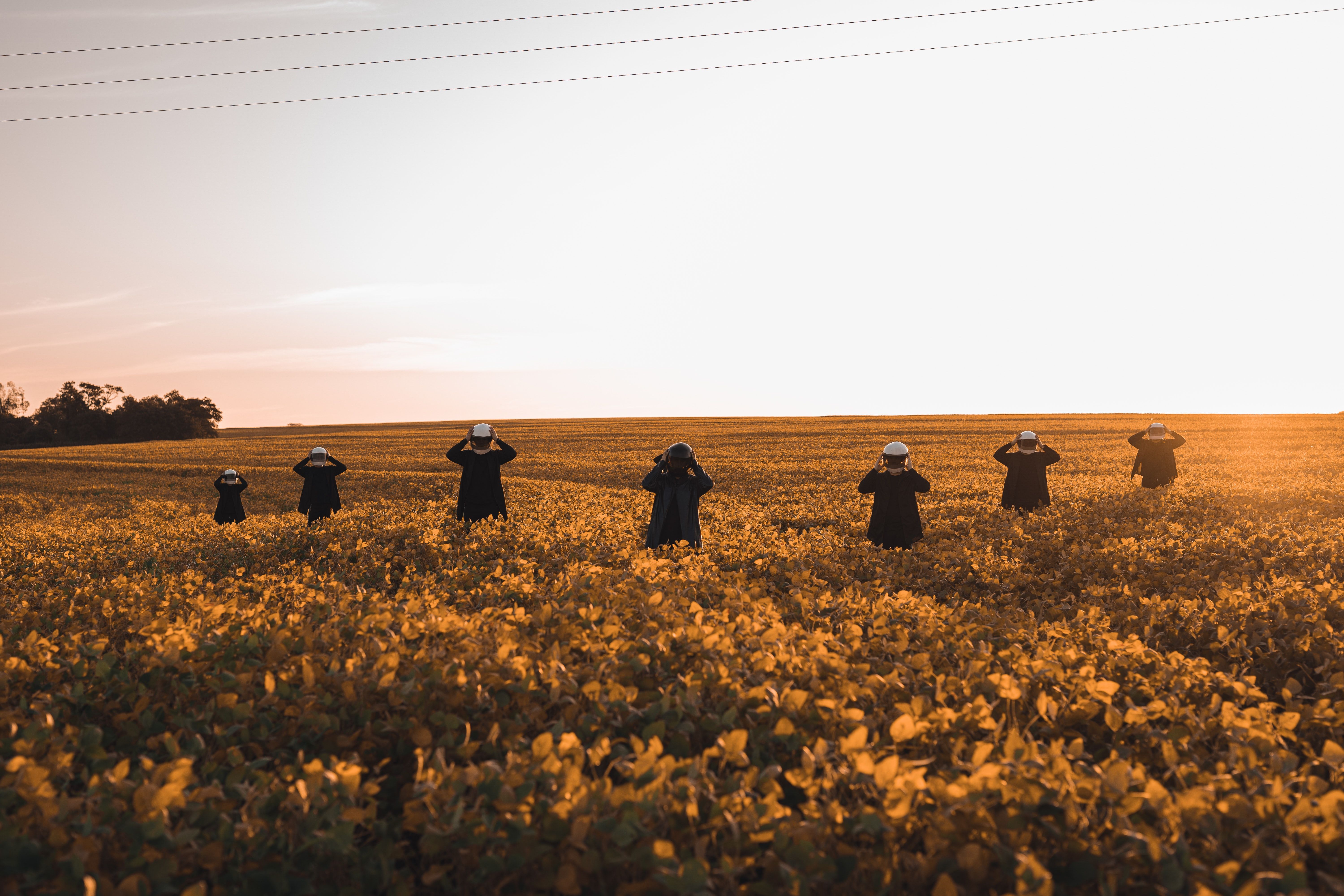 Scarecrows in<ref> a field</ref><box>(2,456),(996,997)</box> - Farm
