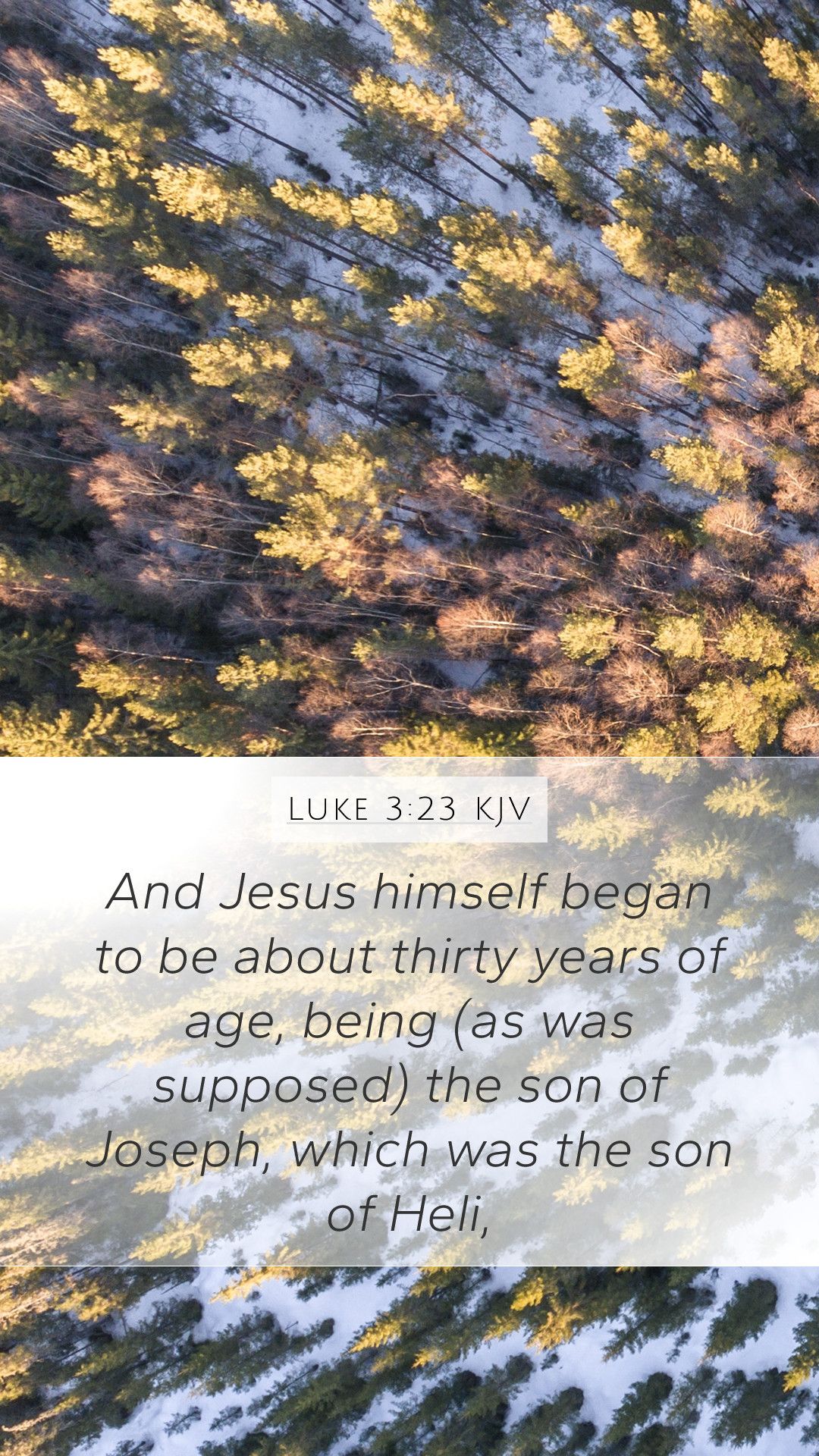 Luke 3:23 KJV Mobile Phone Wallpaper Jesus himself began to be about thirty years