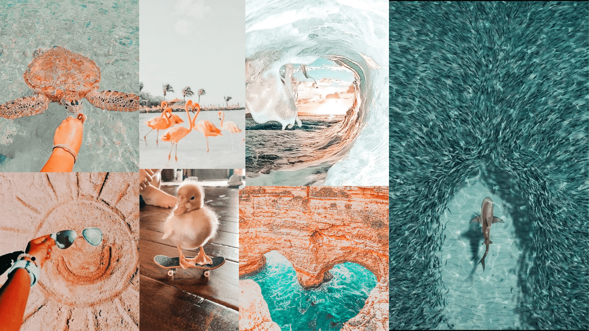 Aesthetic Collage. Beach wall collage, Cute background, Aesthetic collage