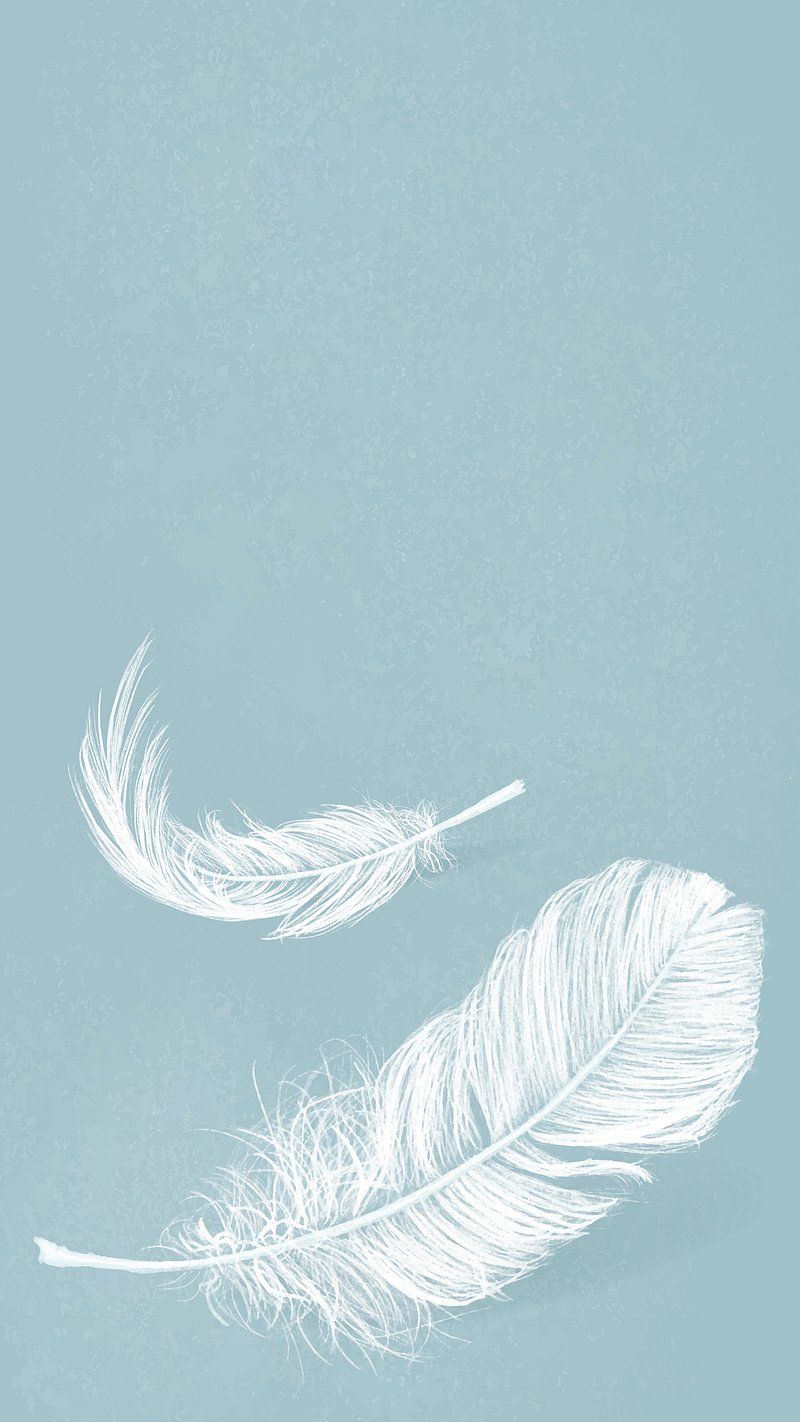 Hand drawn white feather on blue. Free Photo Illustration