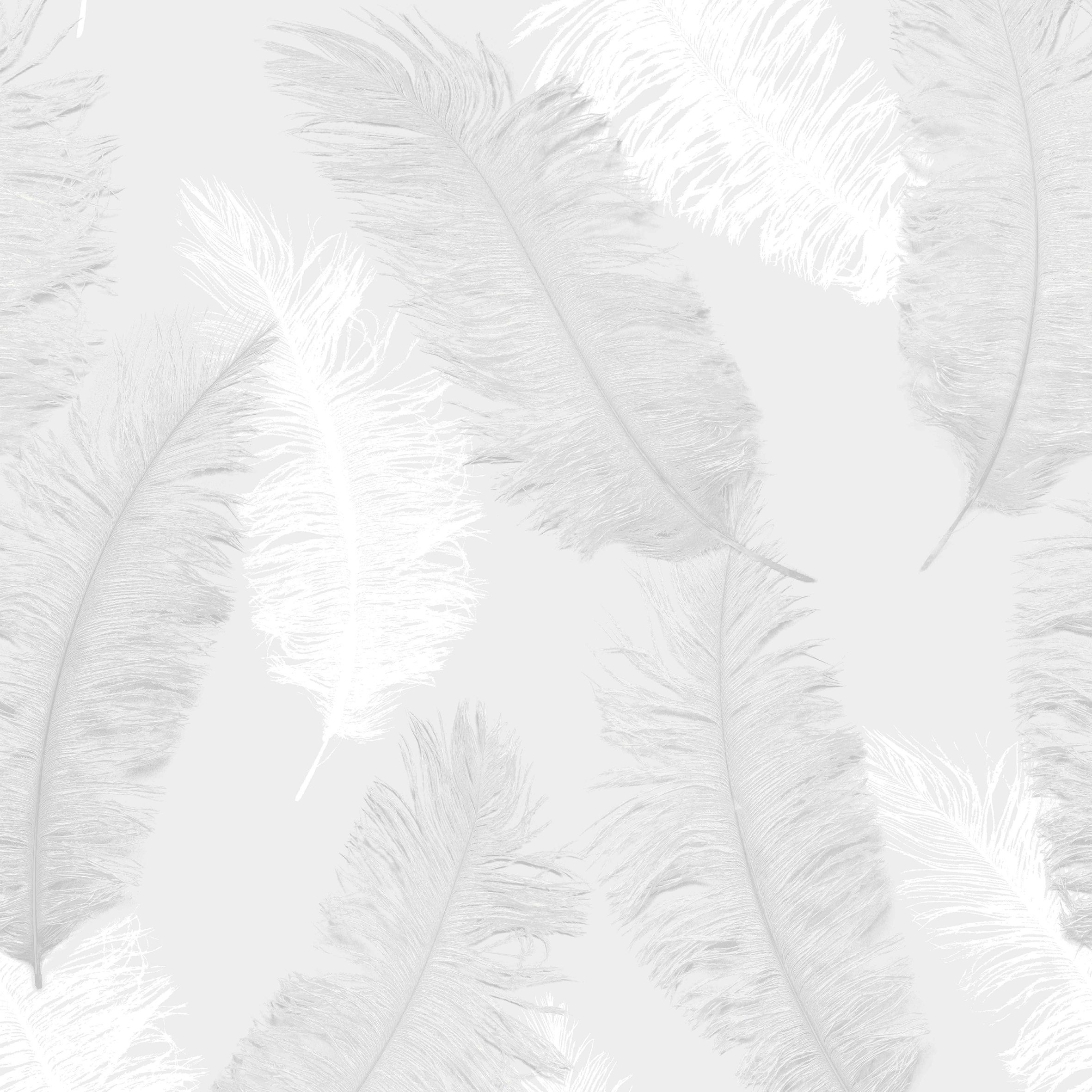 White Feather Wallpaper