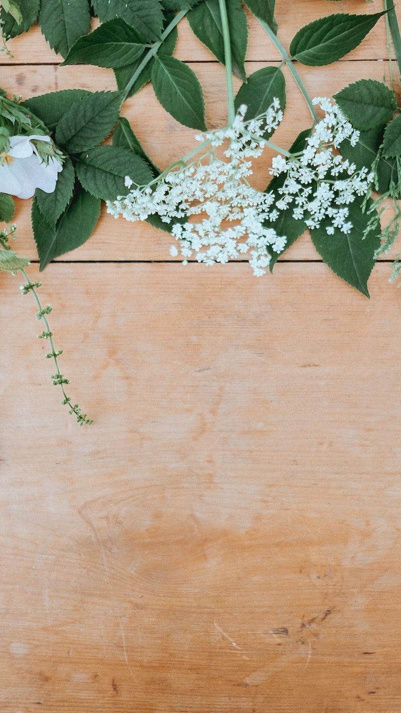 Natural Flat Lay Image Wallpaper