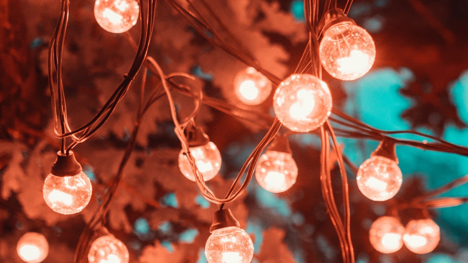 Lighting Christmas Lights Light Branch