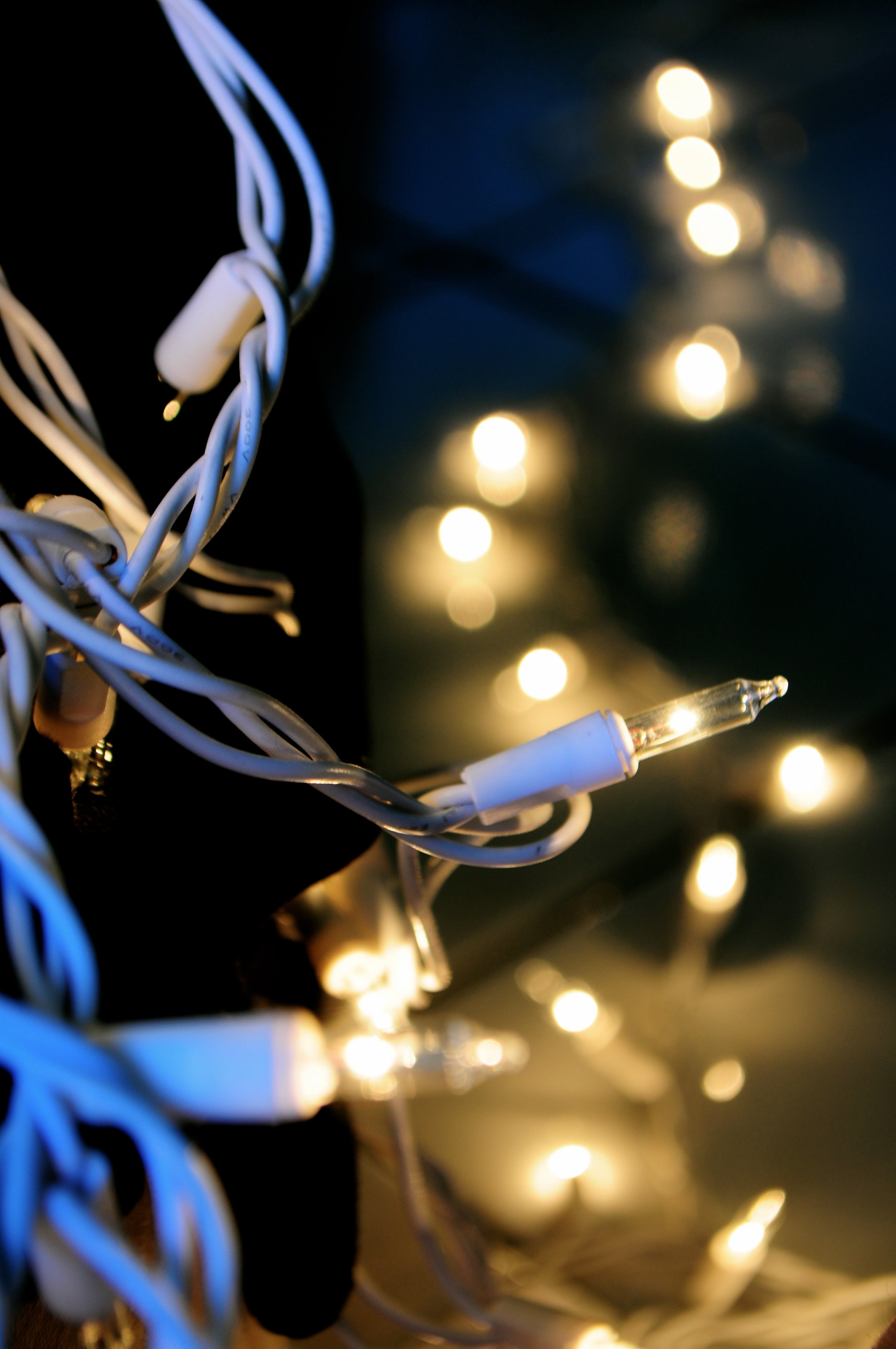 Person Showing White String Lights