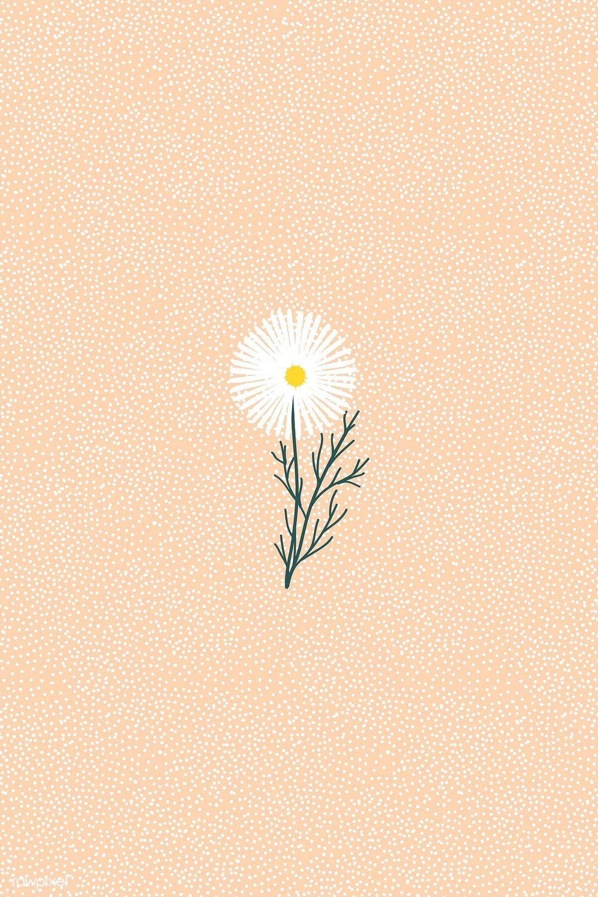 Download premium vector of White daisy on a peach polka dot background - Dandelions