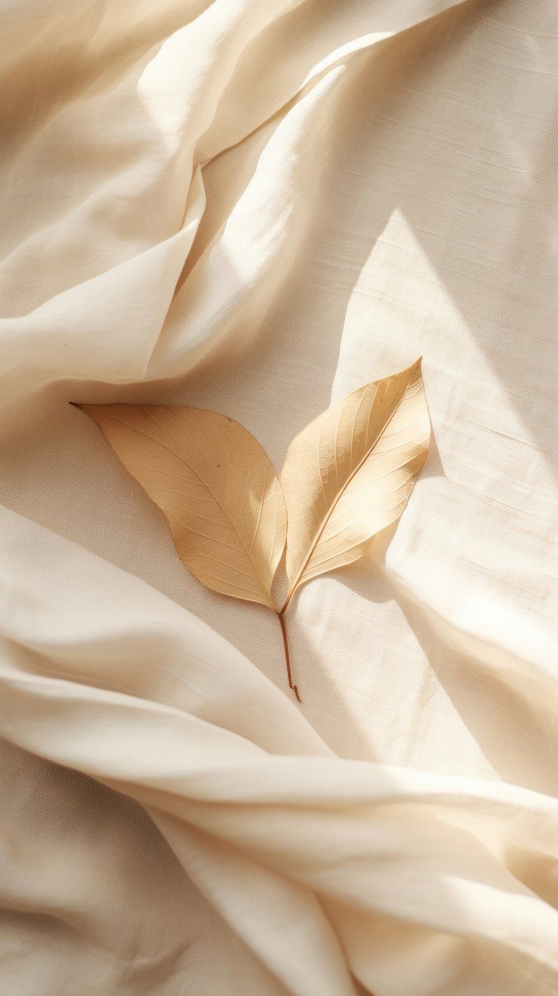 A leaf on a white sheet - Silk