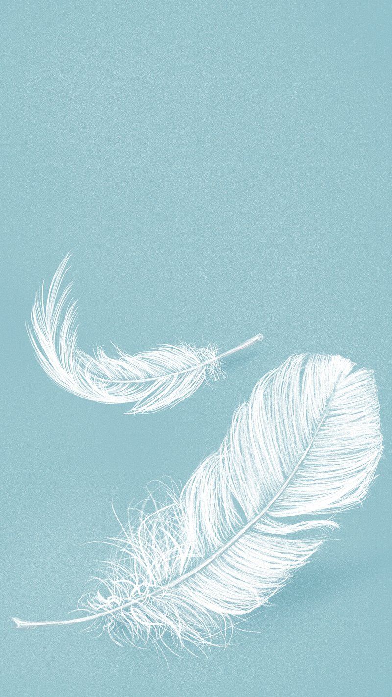 Hand drawn white feather blue. Free