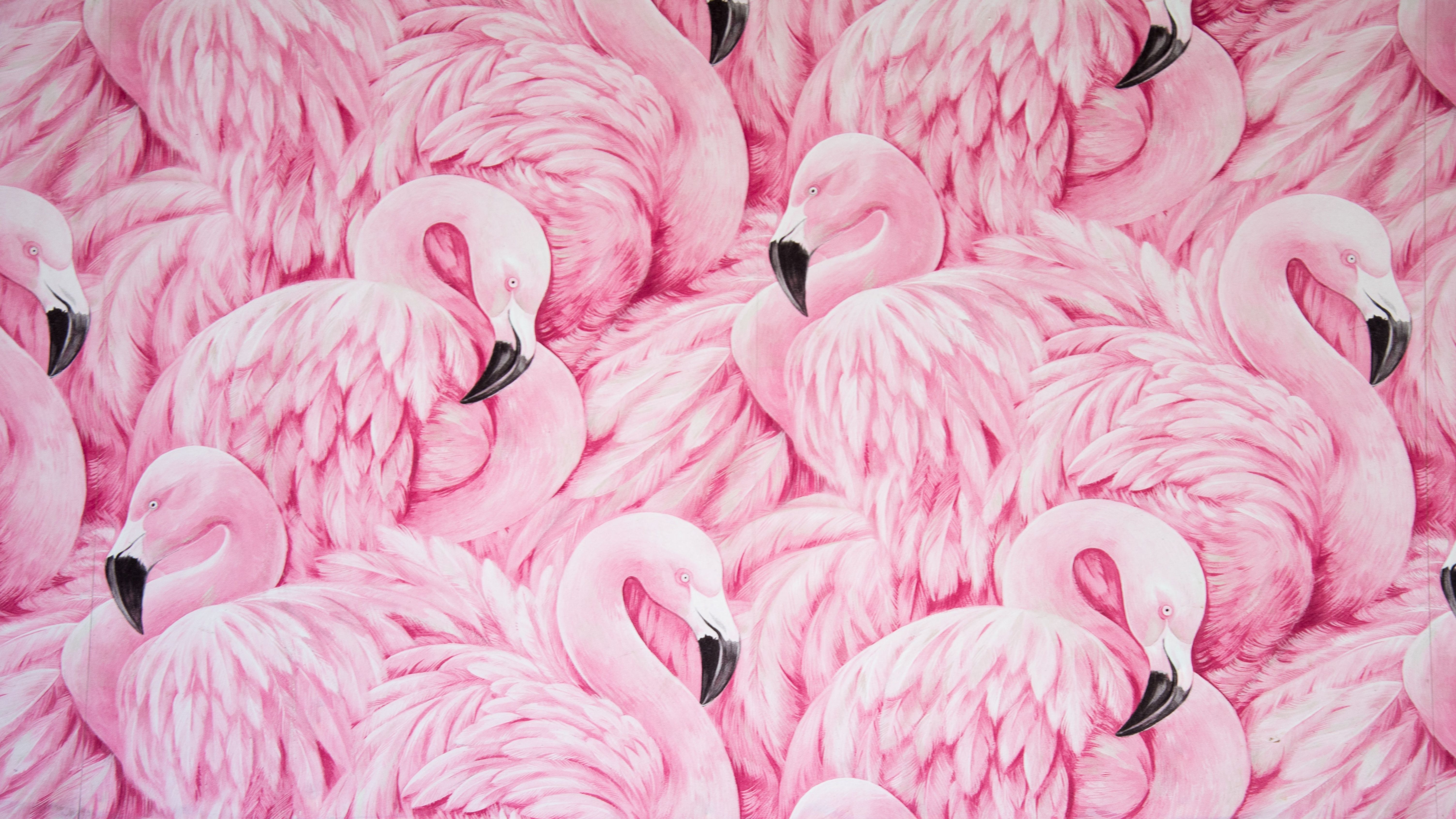 A painting of a flock of pink flamingos. - Feathers