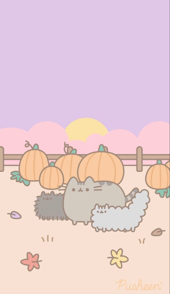 pusheen fall pumpkin wallpaper