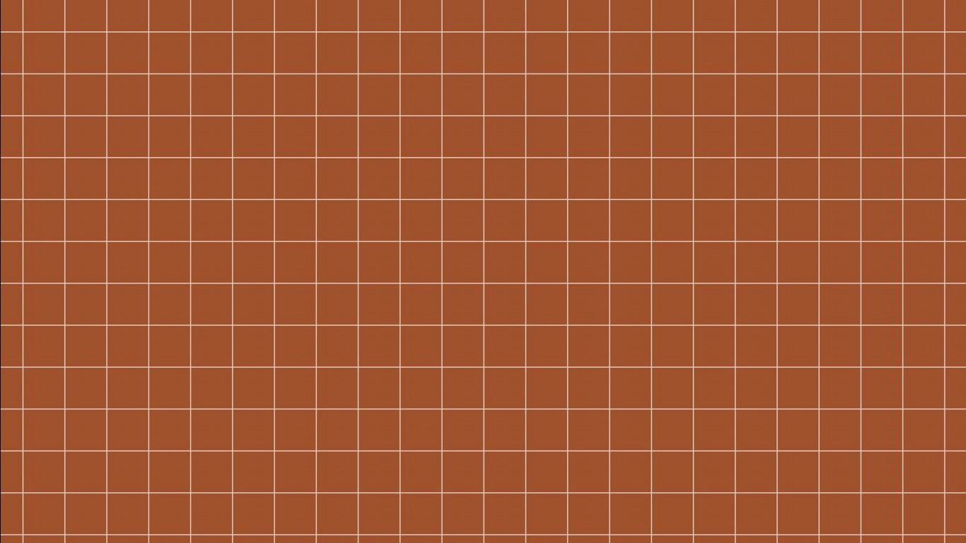 An image of a grid of white lines on a terracotta background - Brown