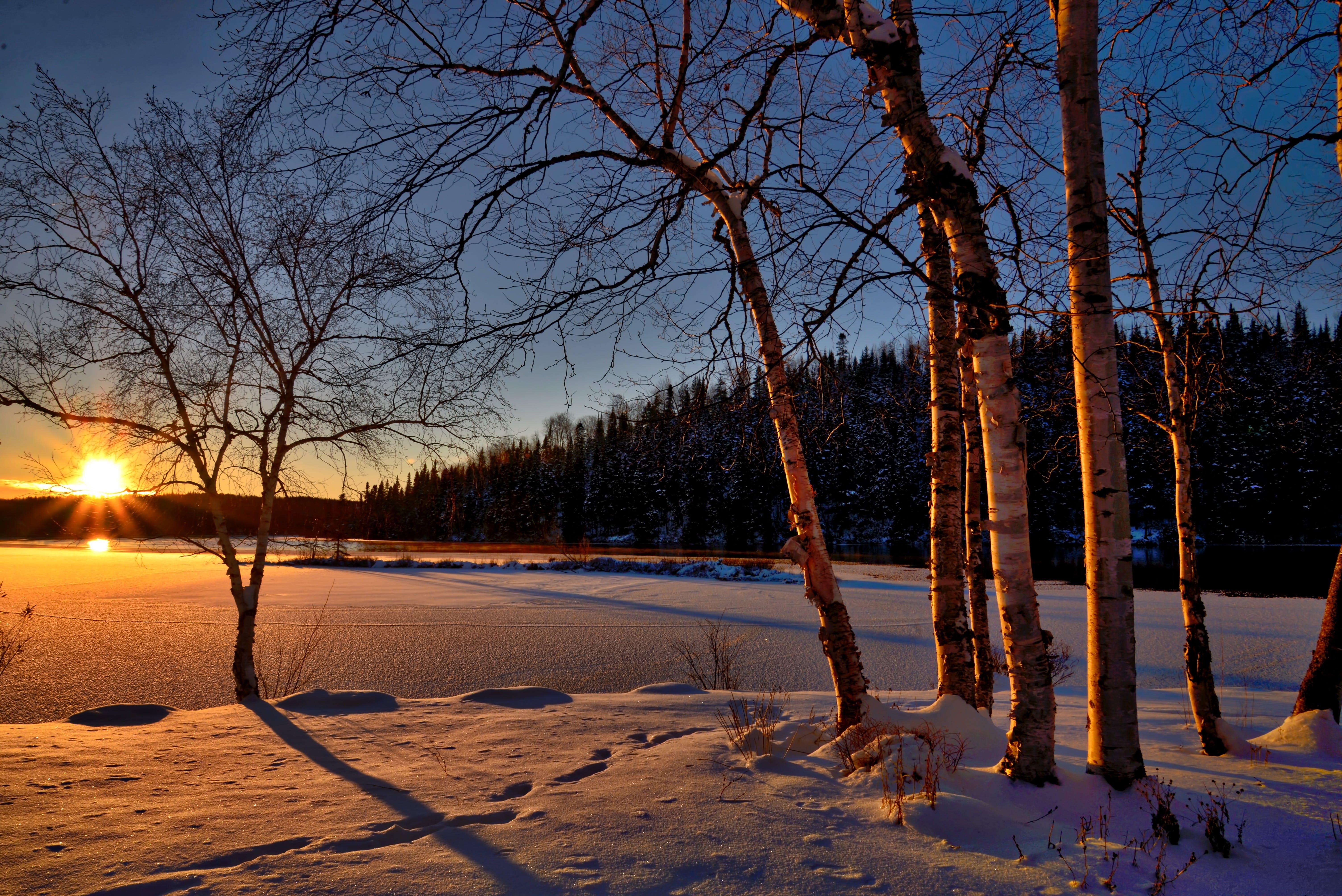 Winter Landscape Photo, Download The BEST Free Winter Landscape & HD Image