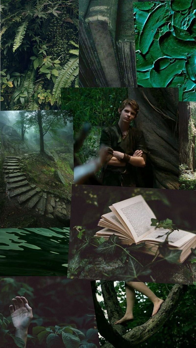 A collage of images related to Peter Pan including a forest, book, and a collage of Peter Pan. - Peter Pan