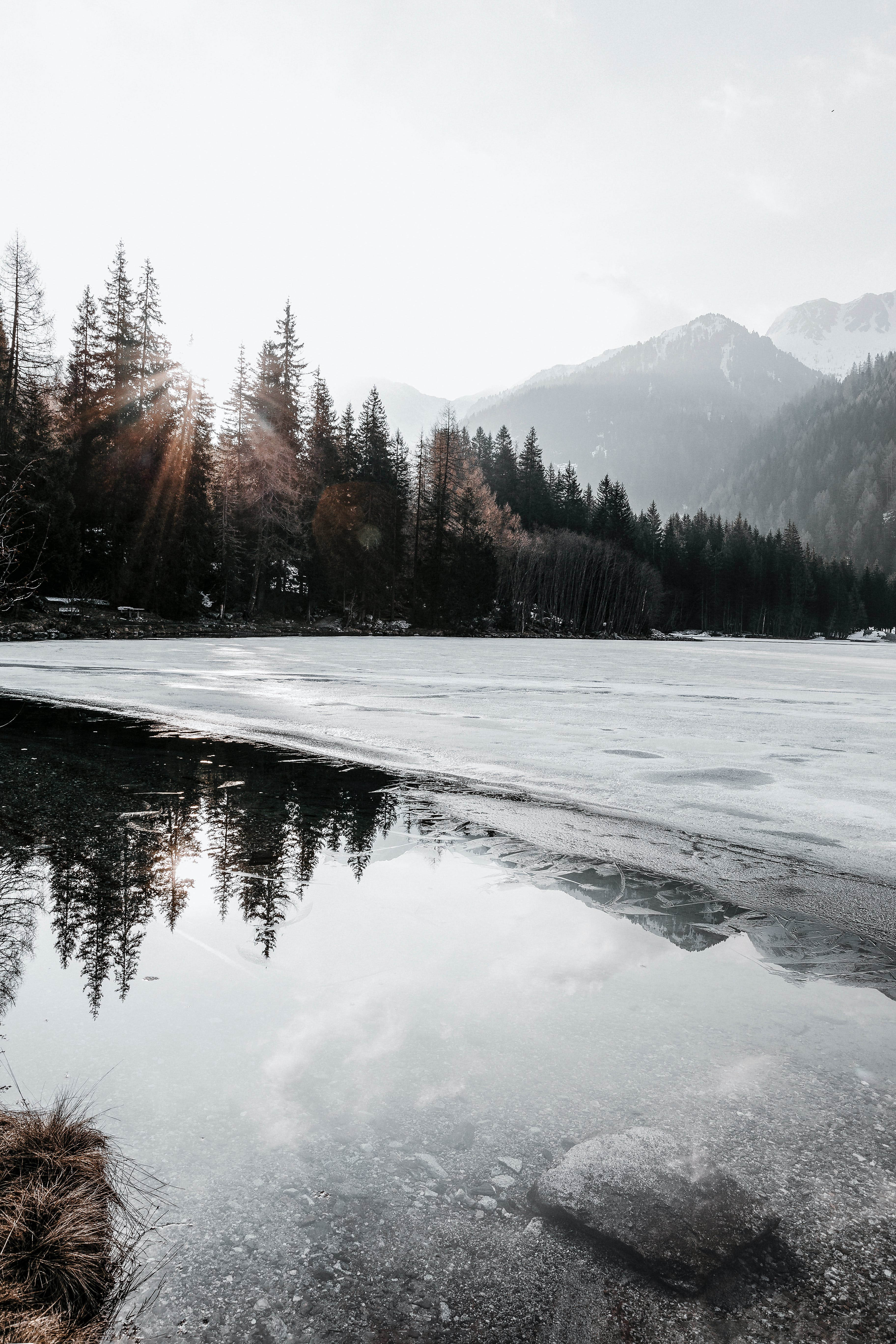 A frozen lake surrounded by trees with mountains in the background. - Lake