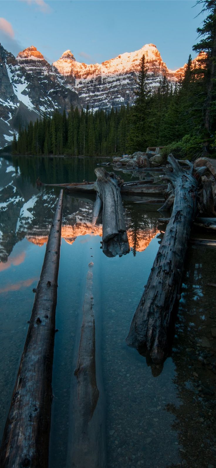 Logs and mountains are reflected in a lake. - Lake
