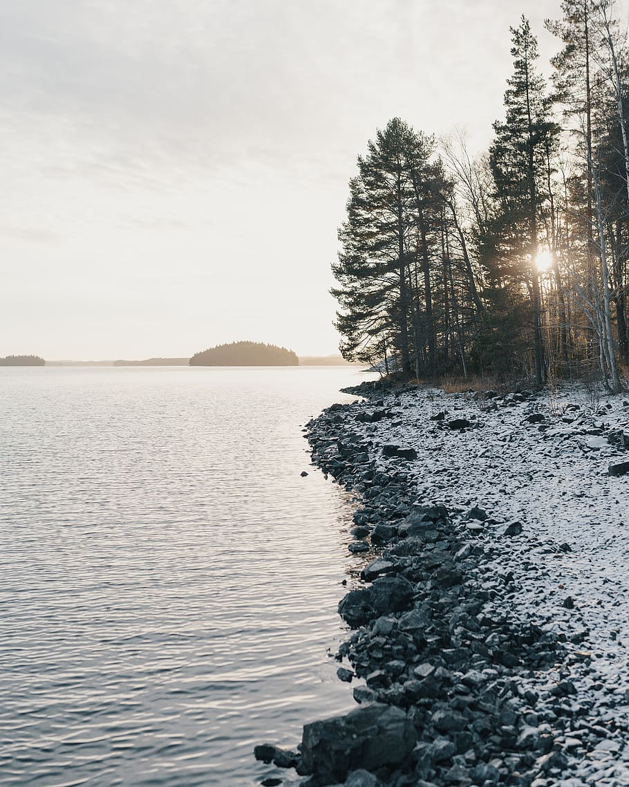 HD wallpaper: sweden, persberg, nature, värmland, nordic, lake, winter, wildlife