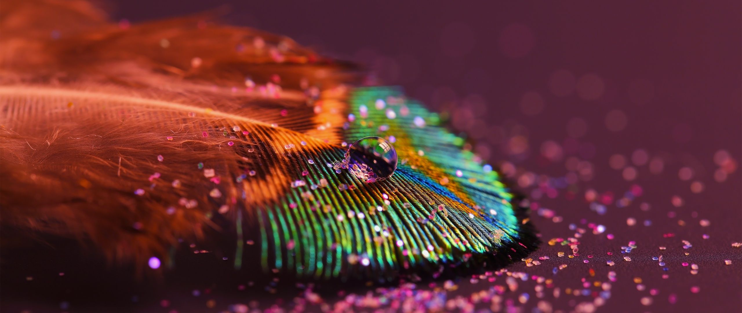 Peacock feather Wallpaper 4K, Aesthetic