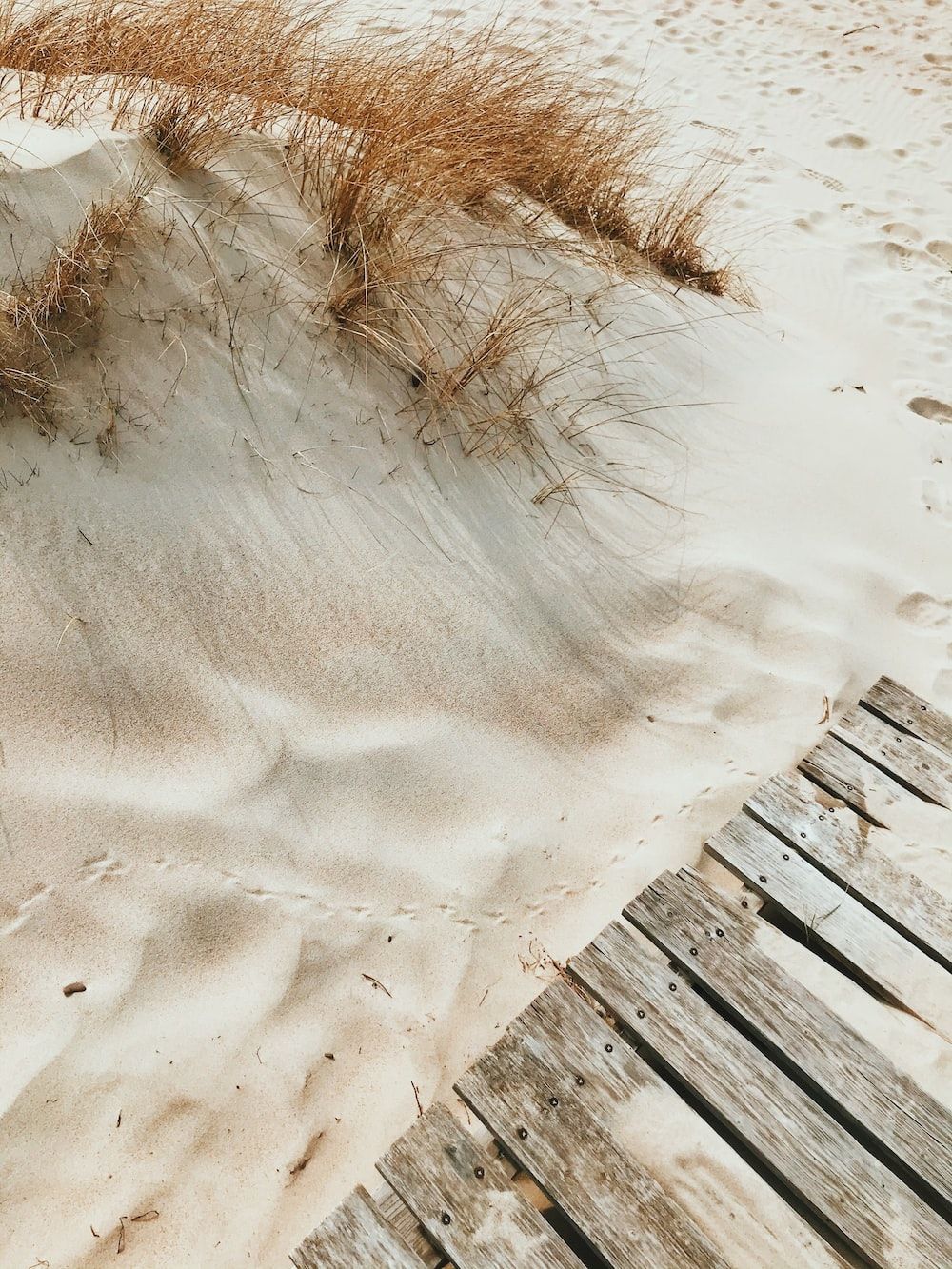Brown wooden fence on white sand photo