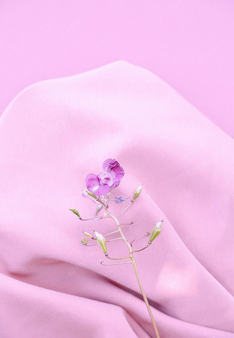A purple flower on a pink cloth - Silk