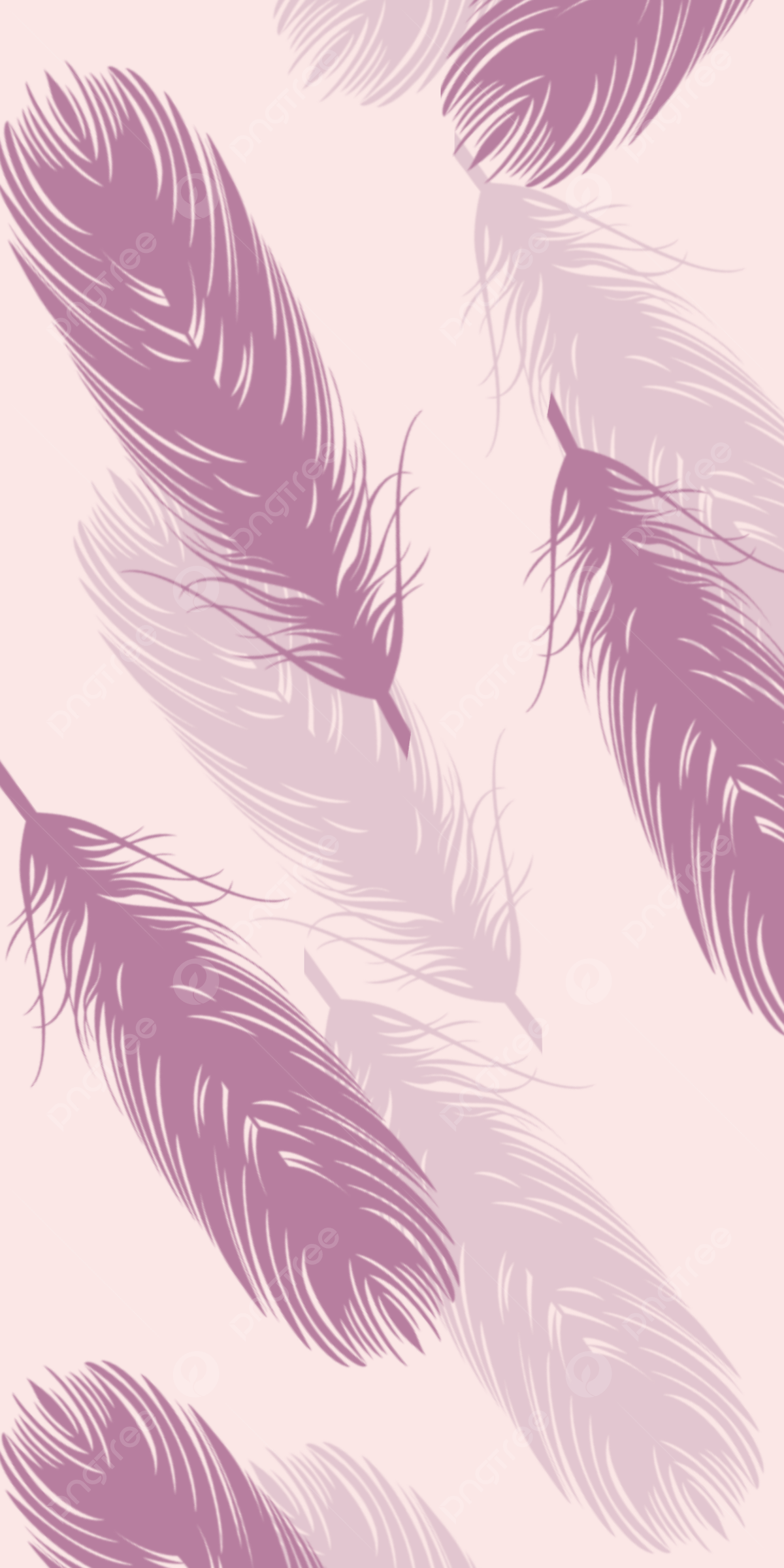 Purple feathers on a pink background - Feathers