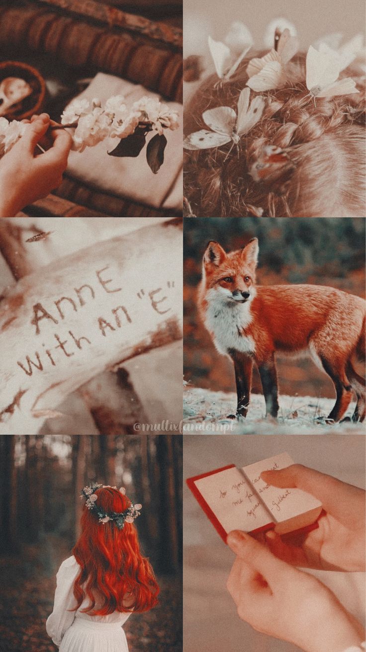 Aesthetic for the book Anne with an E - Fox