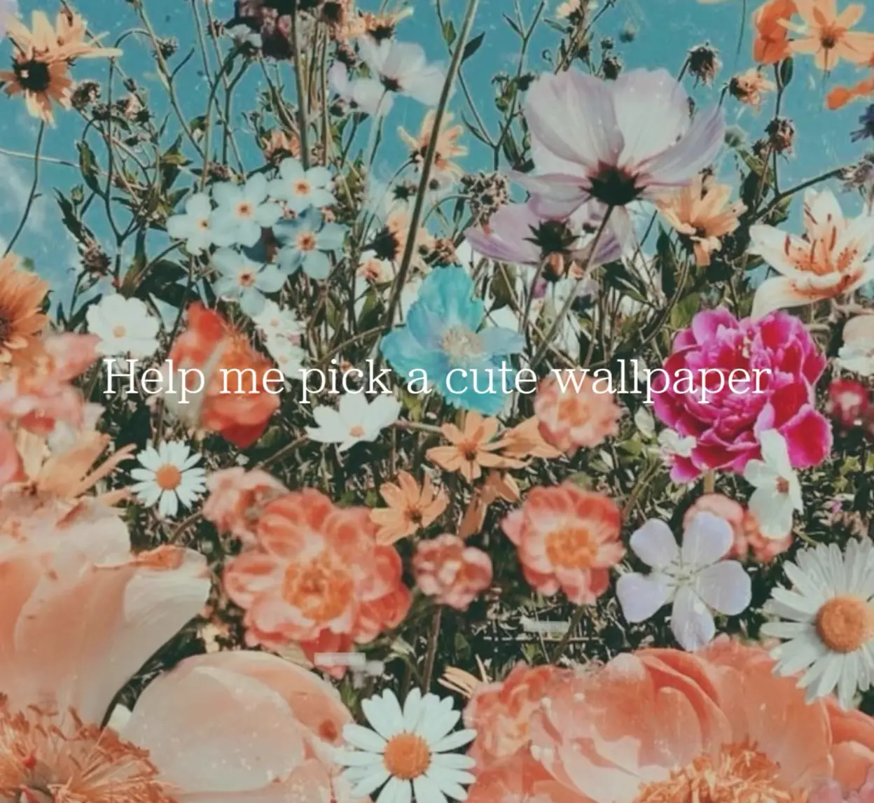 Flowers in a field with the words 