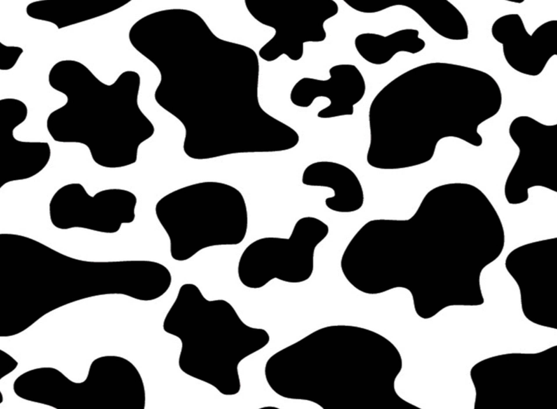 A black and white cow pattern on a plain background - Cow
