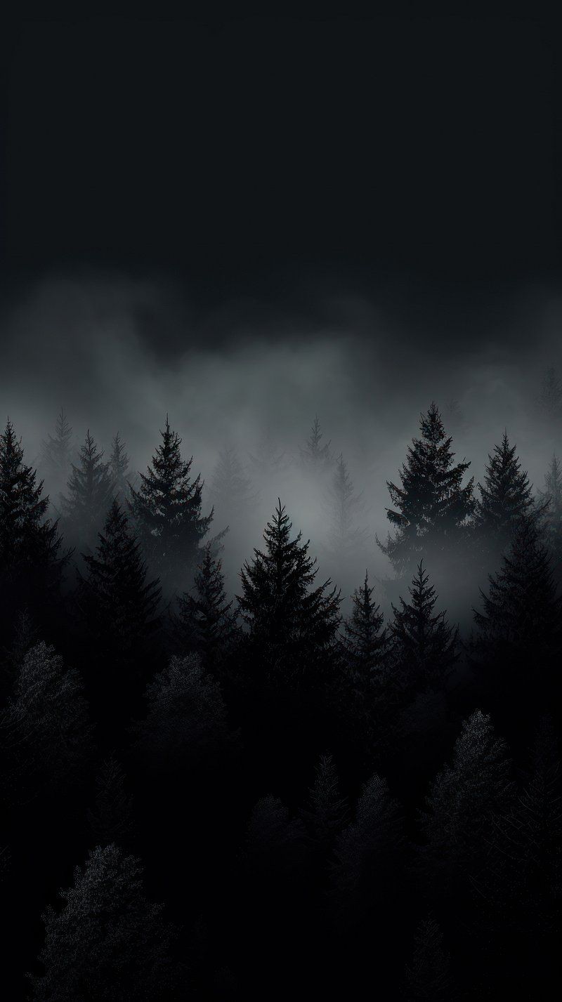 Black Dark Forest Background Image