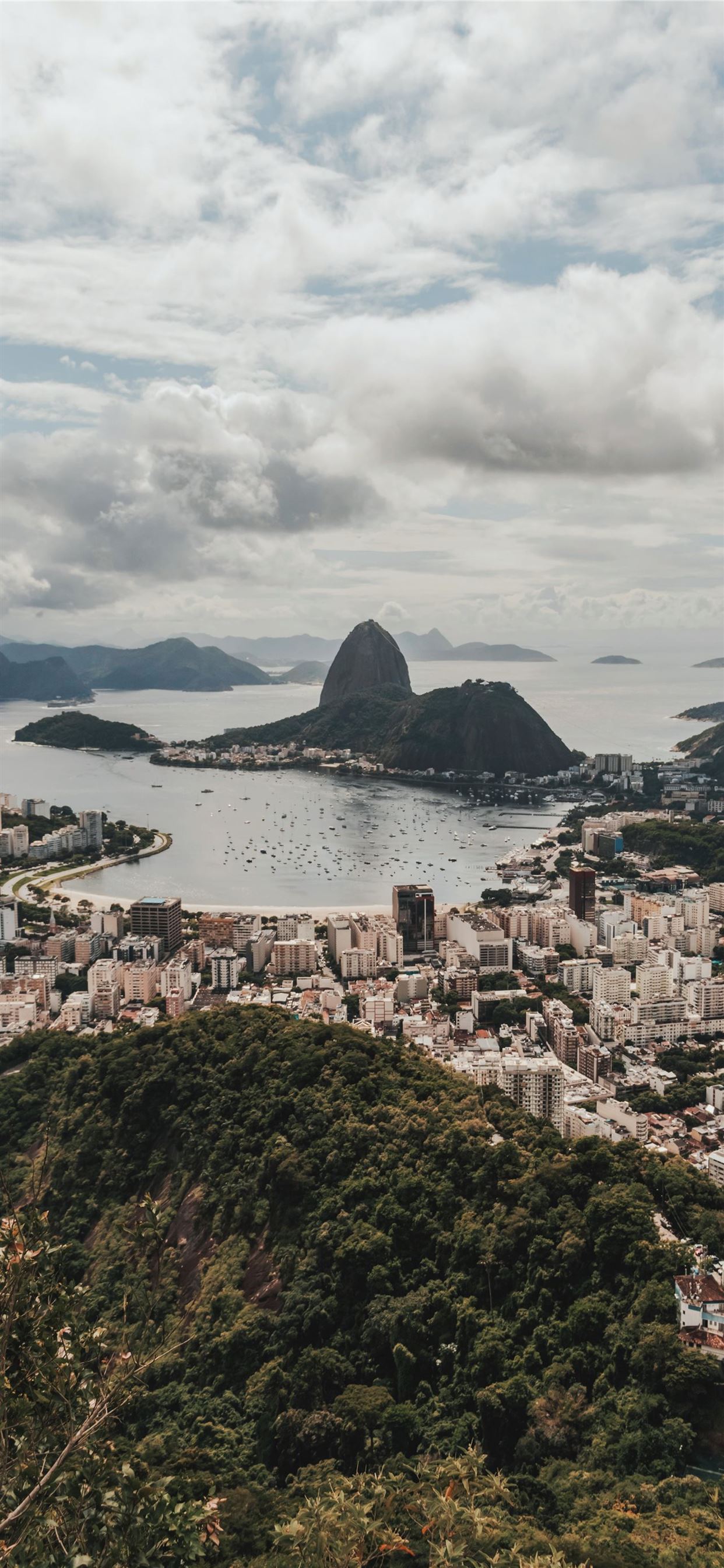 Aerial view of the city of Rio de Janeiro, Brazil - Jesus