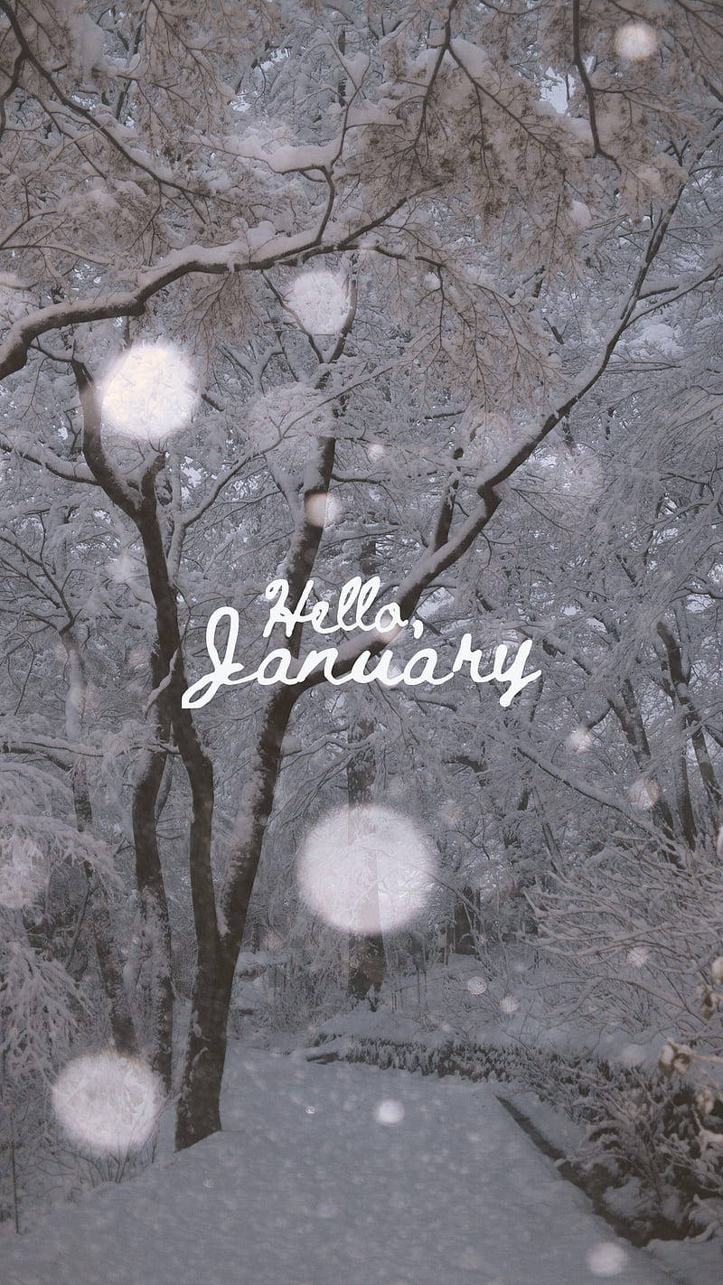 Free January HD Wallpaper