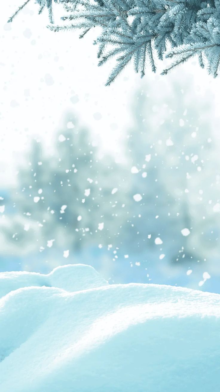 Cute Aesthetic Winter Wallpaper