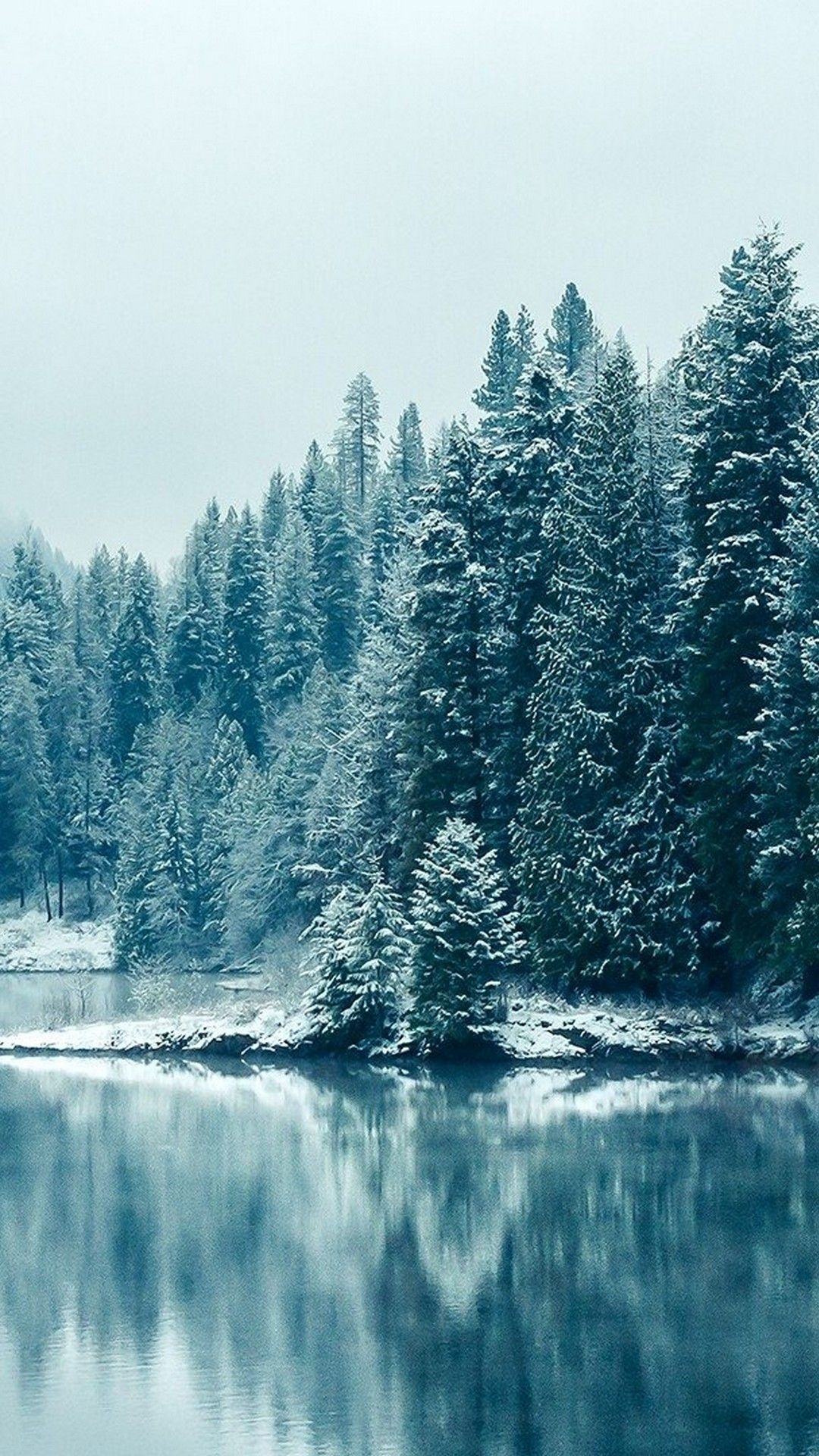 Snowy forest and lake wallpaper for your iPhone 6 Plus from Everpix - Winter