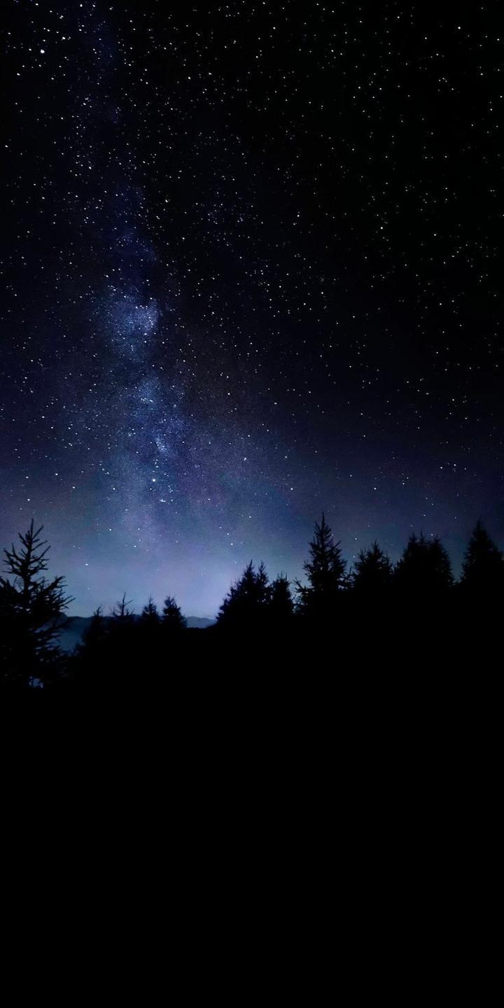 A starry night sky over a forest - Jesus, dark
