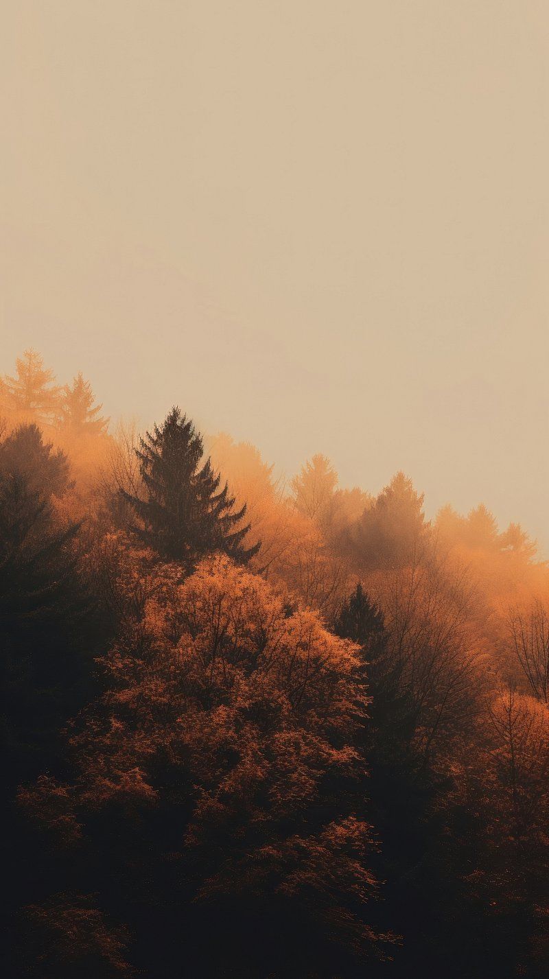 iPhone Wallpaper Autumn Image. Free