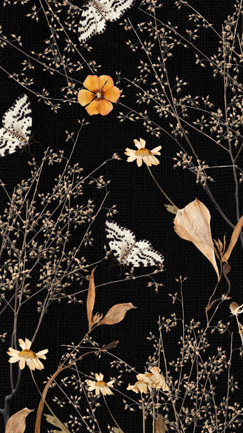 Aesthetic autumn flower phone wallpaper