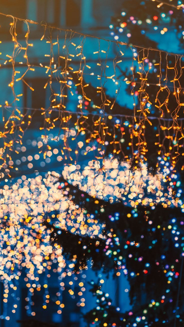 A string of lights in front of a blue wall. - Fairy lights