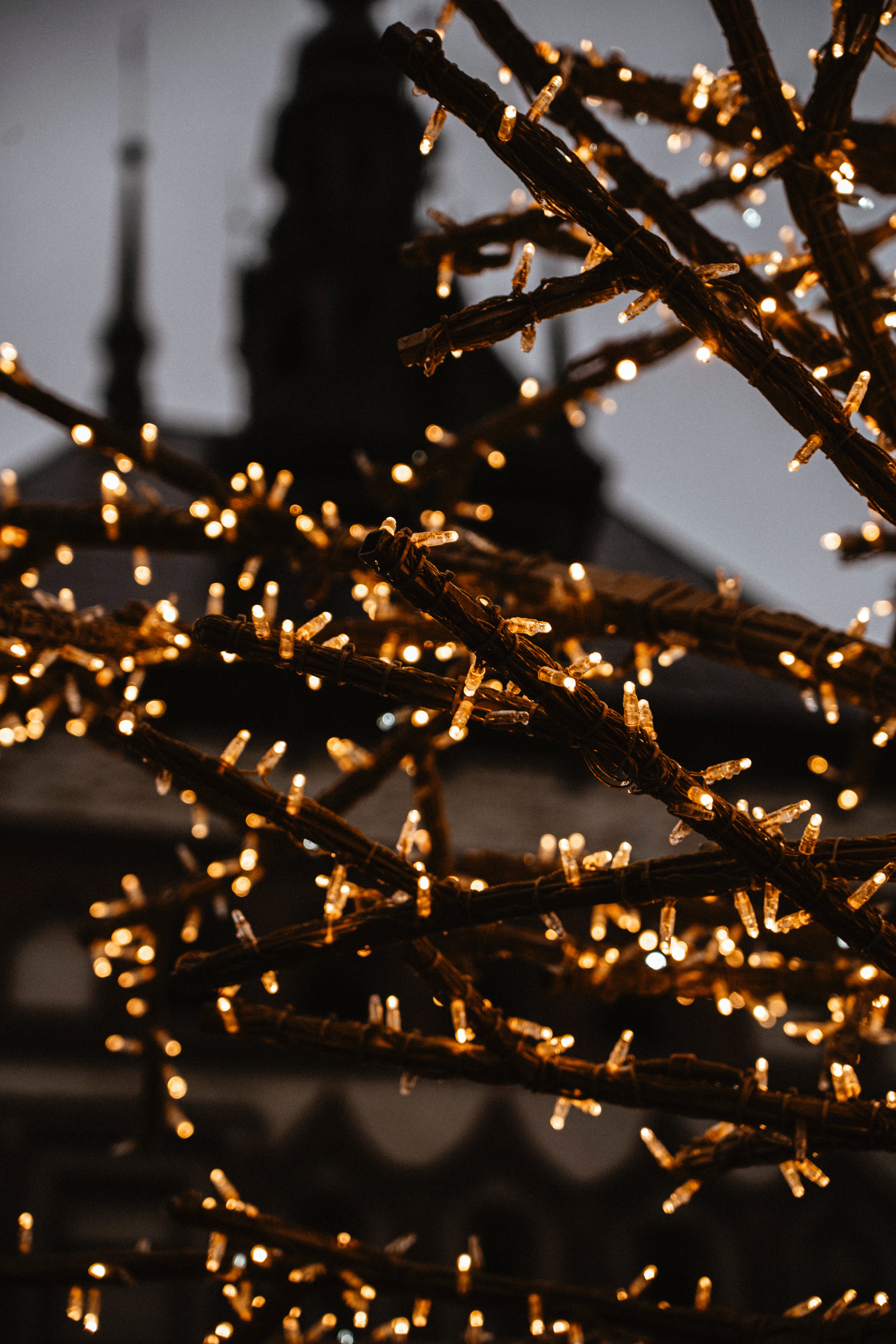 Close Up Of Christmas Lights On A Tree