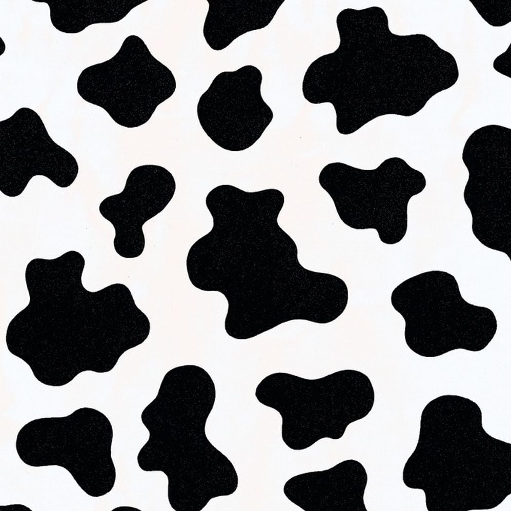 Cow Aesthetic Wallpaper