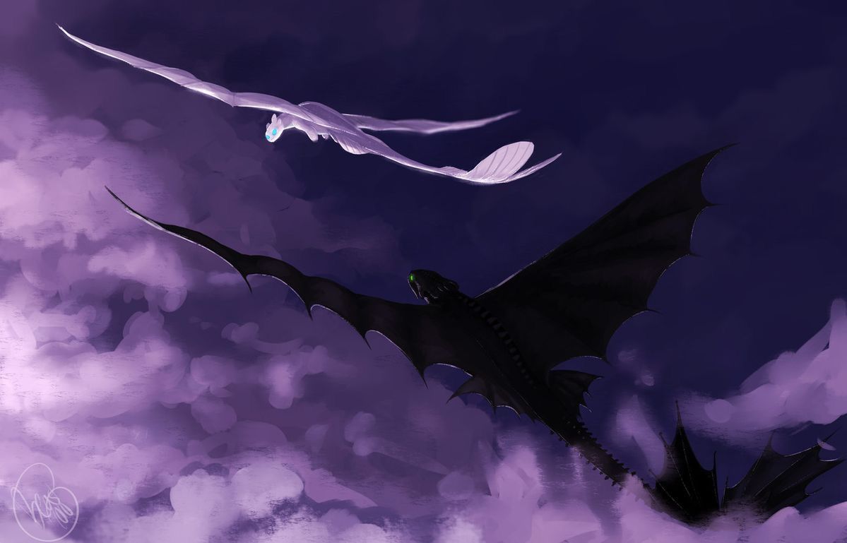 A Toothless and Light Fury dragon duo flying through the clouds - How to Train Your Dragon
