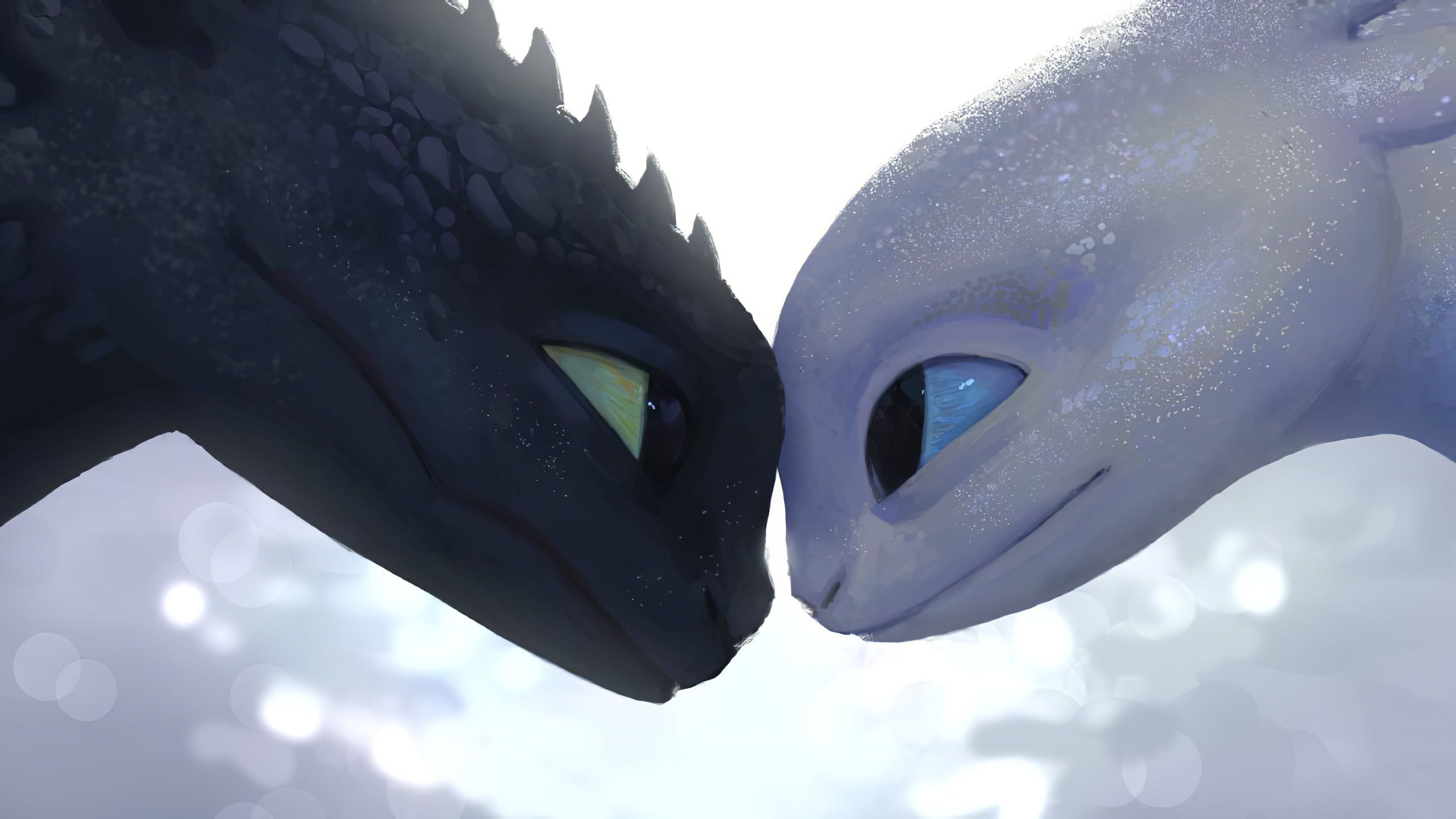 Train Your Dragon, digital, Toothless