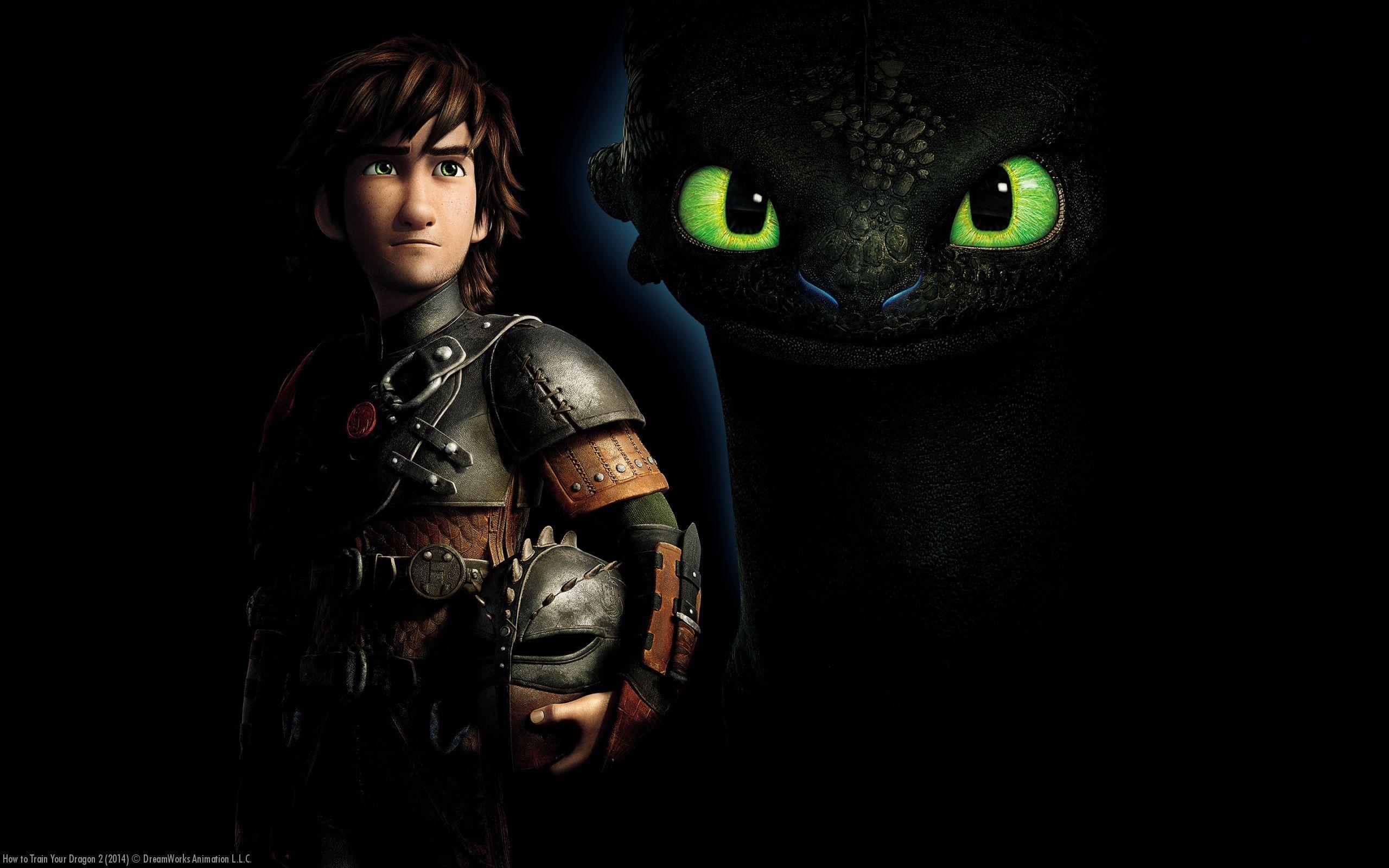 To Train Your Dragon Background Image