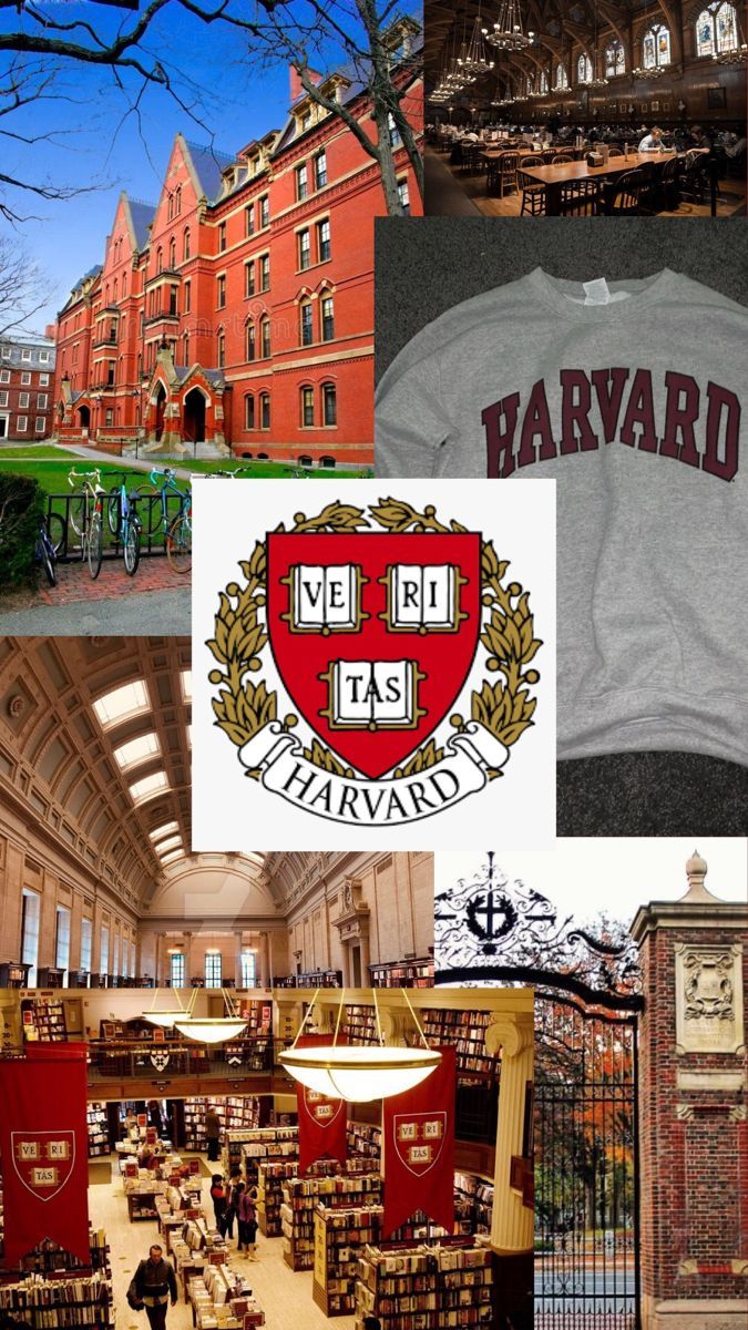 College motivation, Harvard university