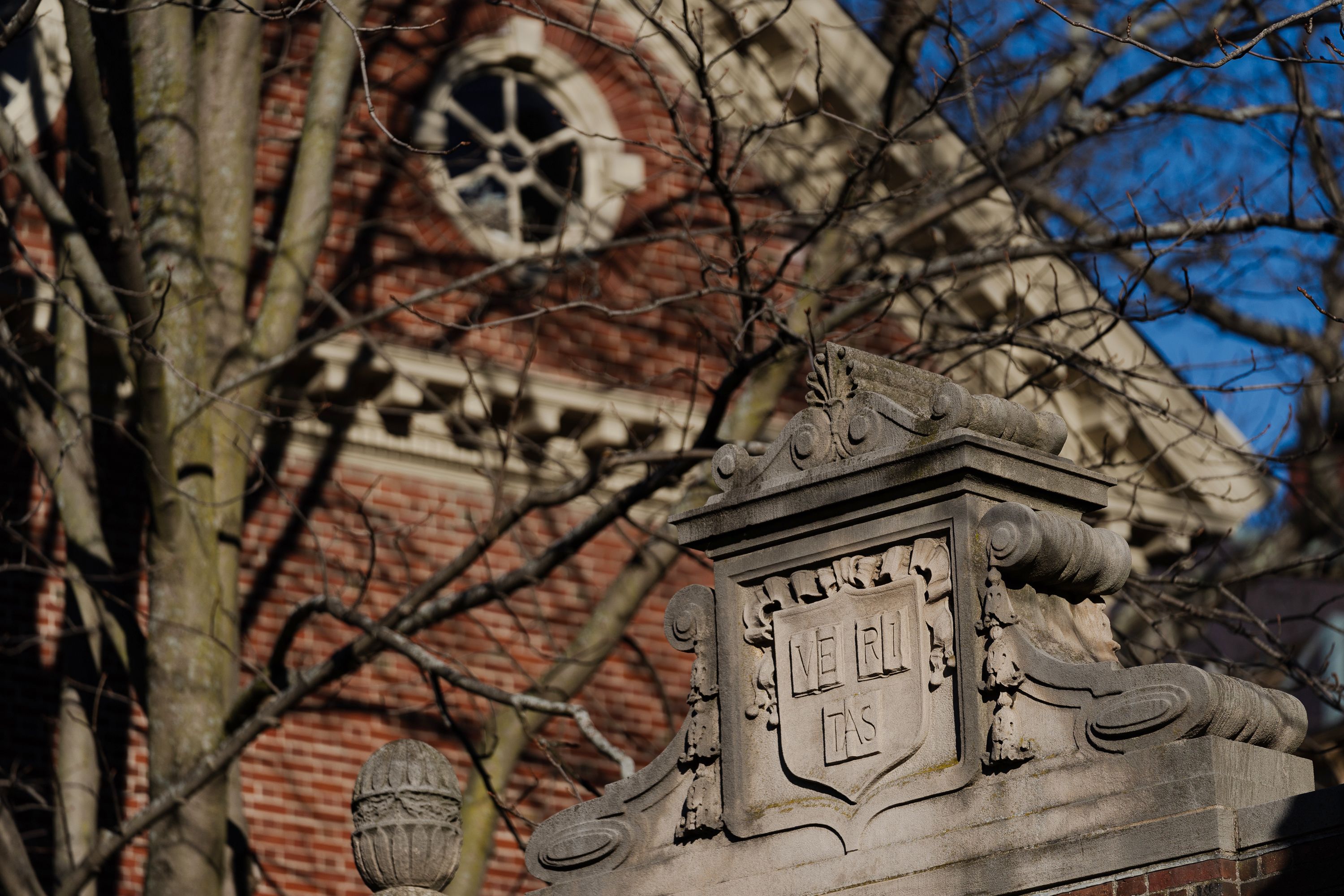 Harvard launches new efforts to bring calm