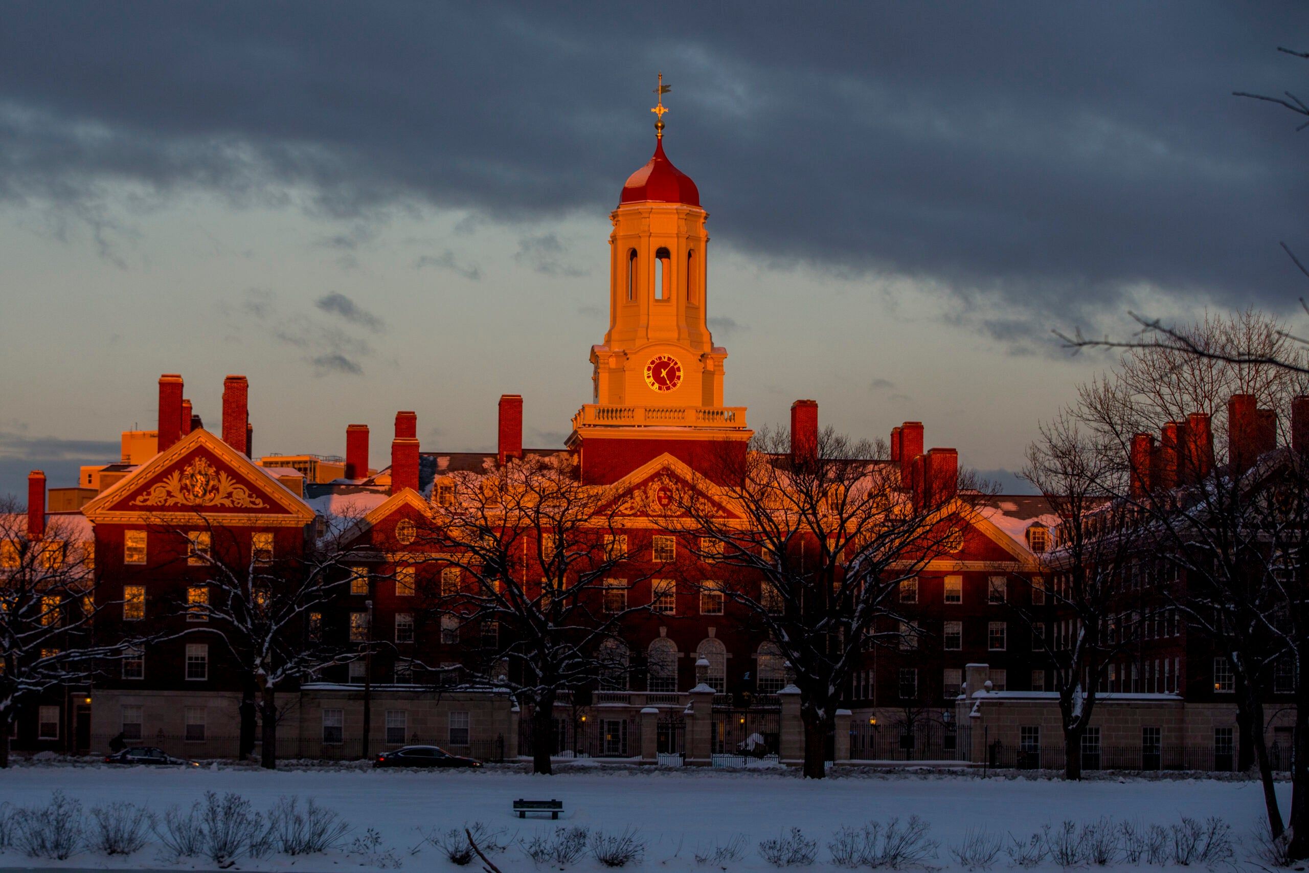 A snow-covered yard in front of a building at Harvard University. - Harvard