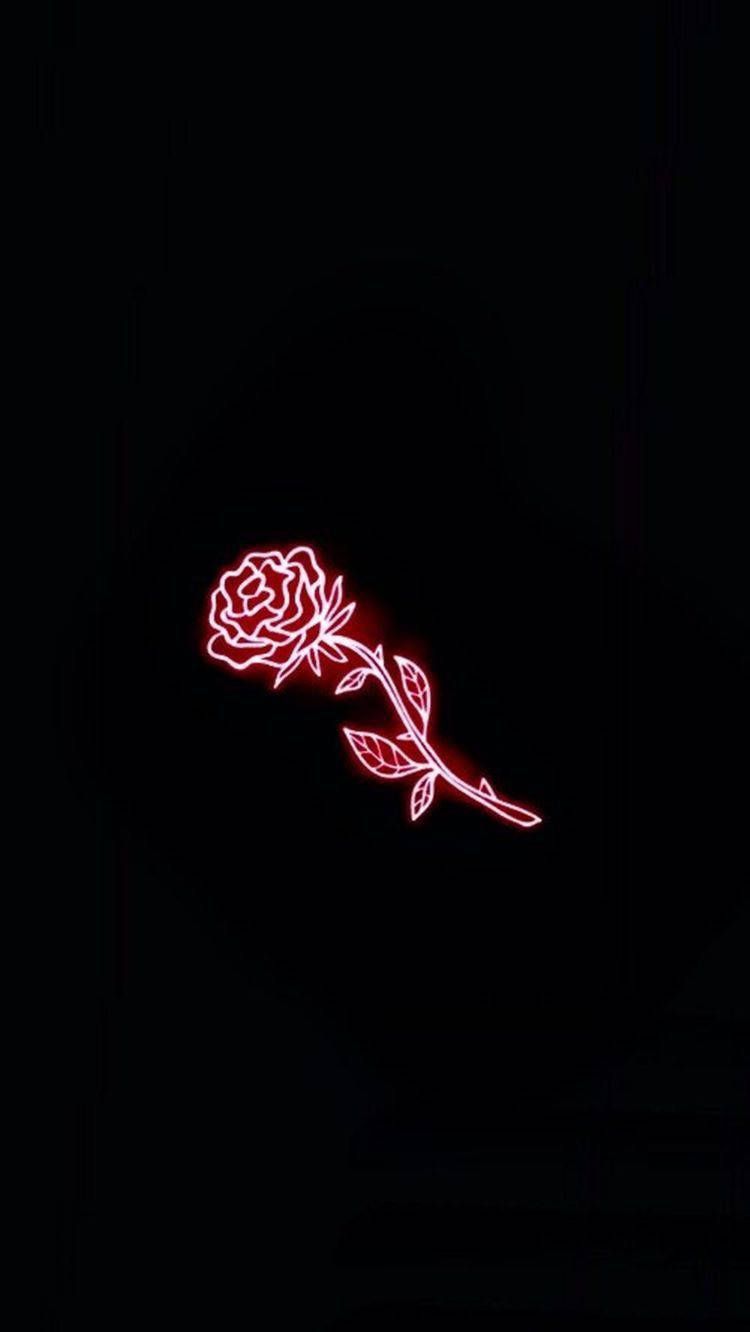 Download Red Rose Black Neon Aesthetic Wallpaper