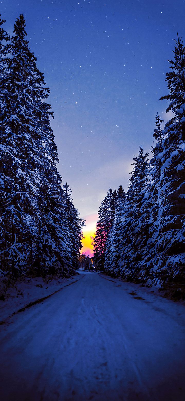 Aesthetic Nature Road Winter Wallpaper