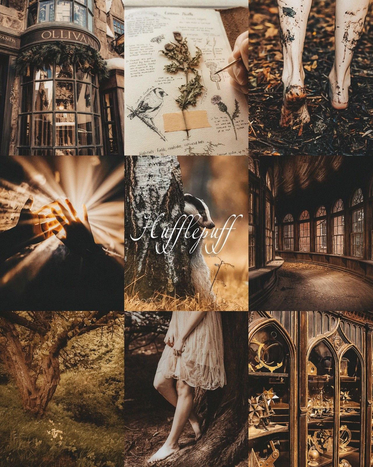 Aesthetic collage of images related to Hufflepuff house from Harry Potter. - Hogwarts