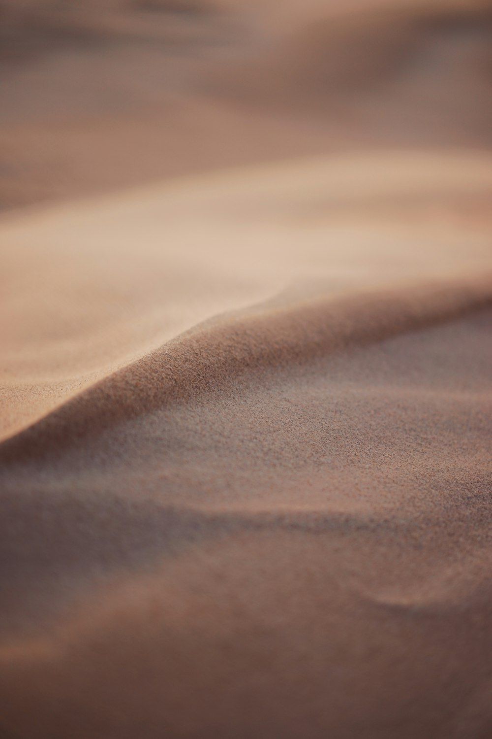 Sand Background Picture. Download